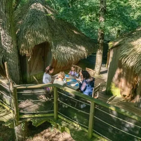 Camping Avec Acces Handicape - 6 Pers. - Api-1-52-2637 *