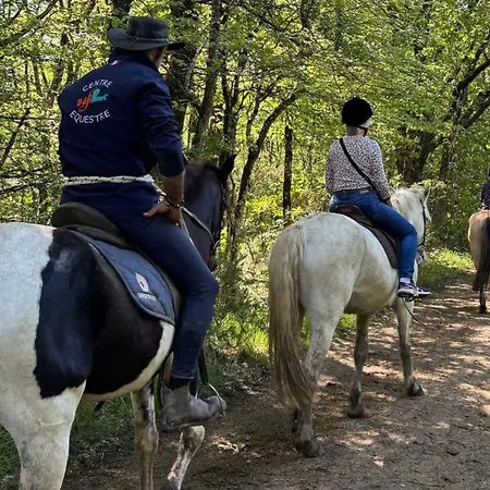 Avec Accès Handicapé - 6 Pers. - Api-1-52-2637 * Magne (Vienne)