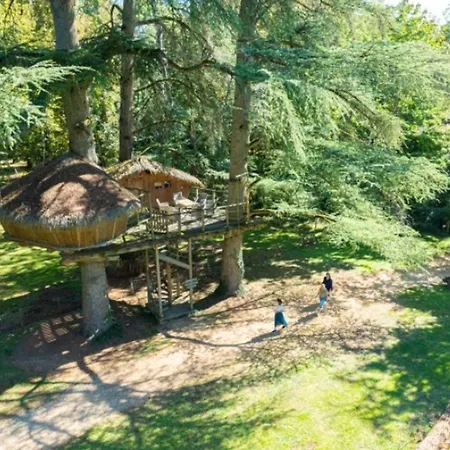 Avec Accès Handicapé - 6 Pers. - Api-1-52-2637 Camping